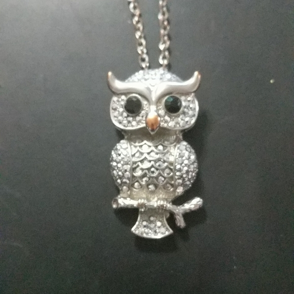 Jewelry - Silver Tone Rhinestone Owl Pendant Statement Necklace